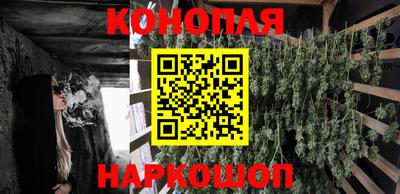 амф Донской