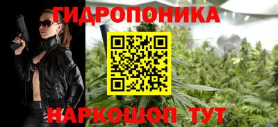 стаф Донецк