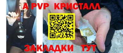 прущие грибы Дубна
