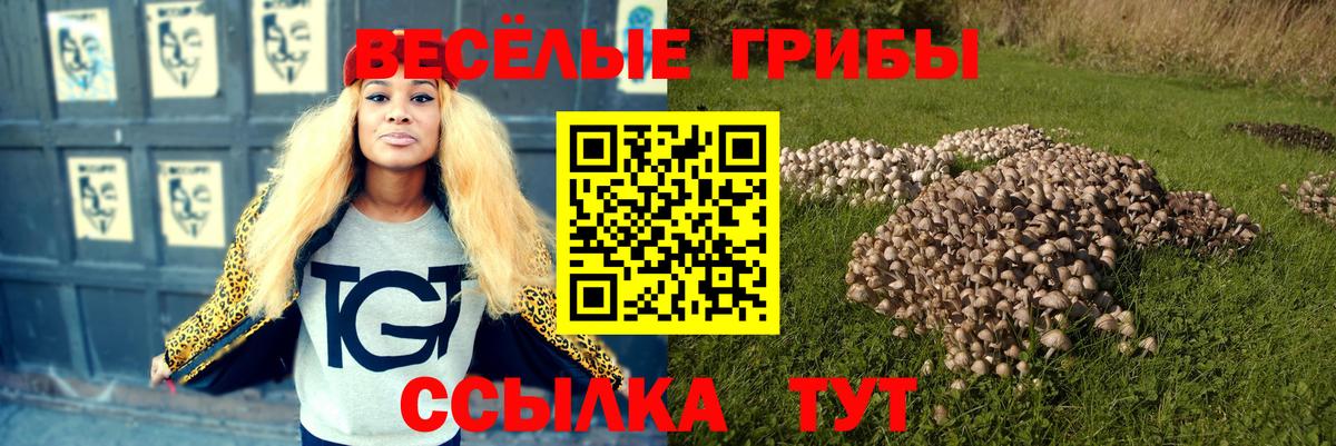 Псилоцибиновые грибы Psilocybe  Вход с VPN  Галлюциногенные грибы ЛСД  Майский 